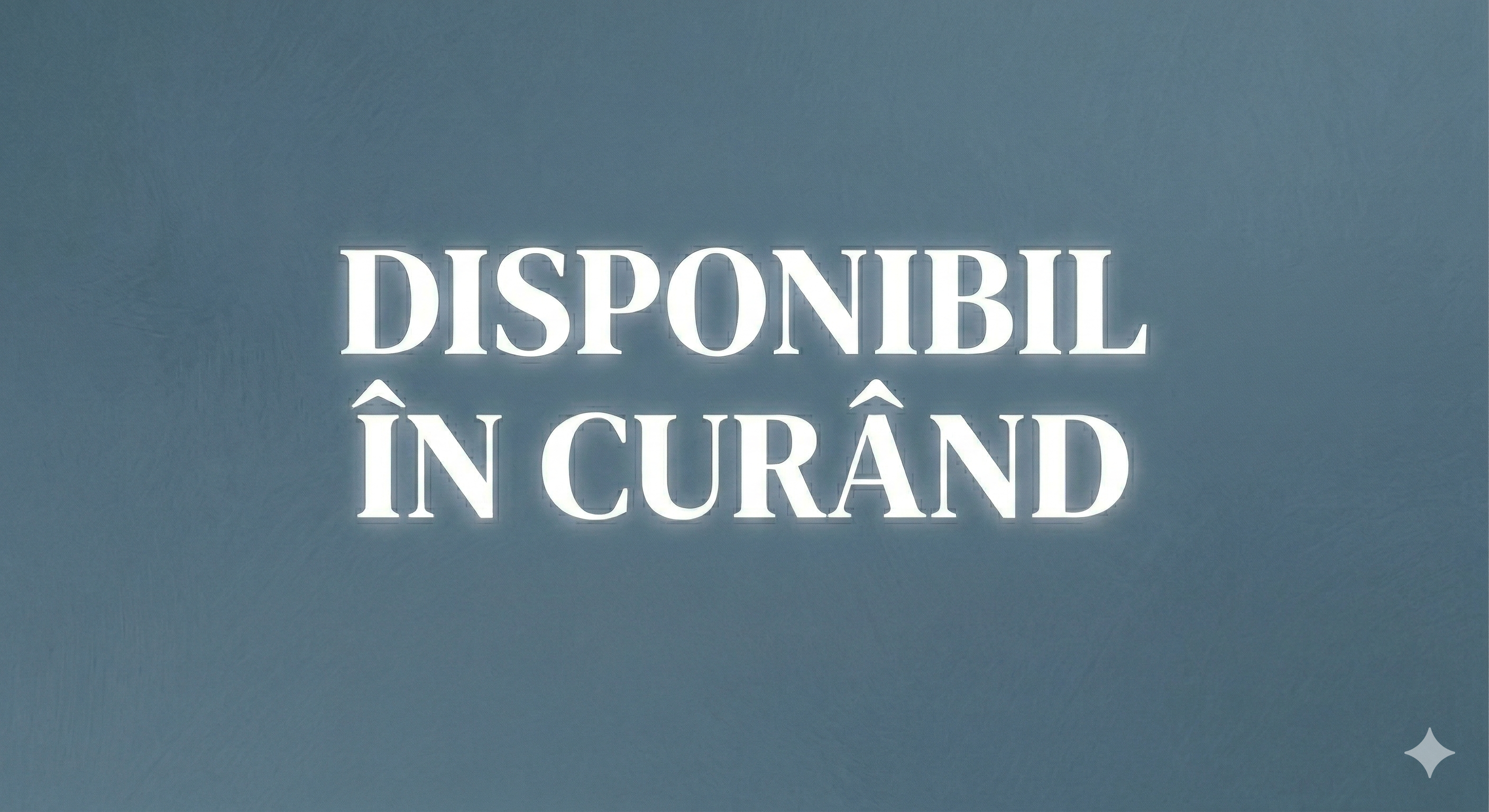 Protectie mocheta Dacia Sandero 2